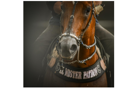 EL MISTER PATRON HAP